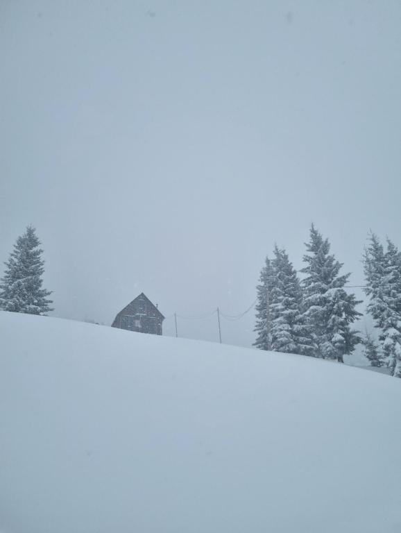 Cottage for 7 guests, photo 13