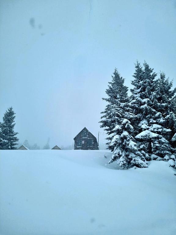 Cottage for 7 guests, photo 29