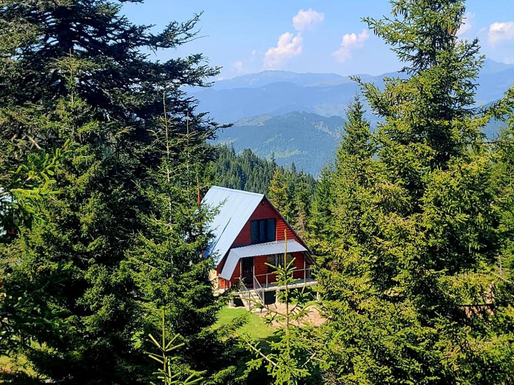 Forest cottage for 6 guests, photo 25