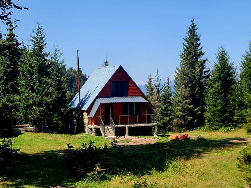 Forest cottage for 6 guests, photo 27